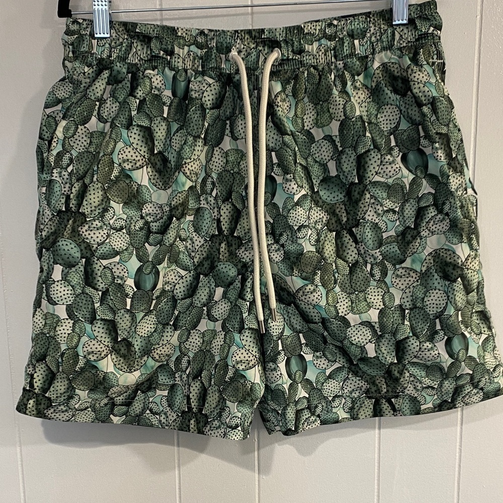 Brooks Brothers Cactus Print Swim Trunks | Drawstring | Size L